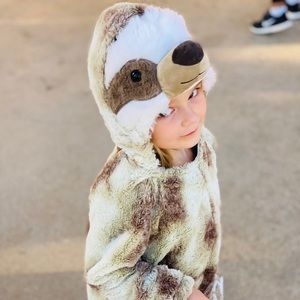 Meet your Posher, Chandra